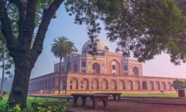 Delhi Private Tour Guide